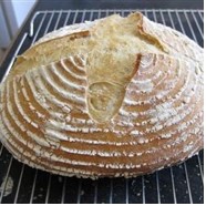 French Country Bread