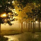 The Secret of Early Morning Morning