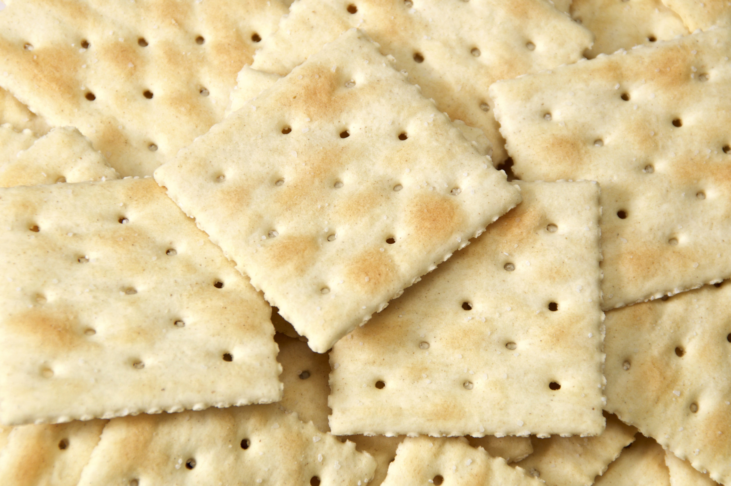 saltines-stories-from-moonberry-lake